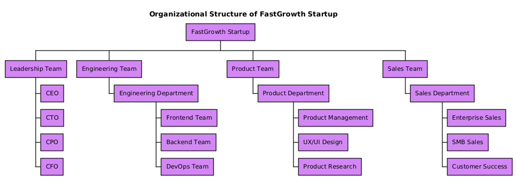 Visual representation of a fast-growing startup's organizational structure, showing leadership, engineering, product, and sales teams with clear reporting lines.
