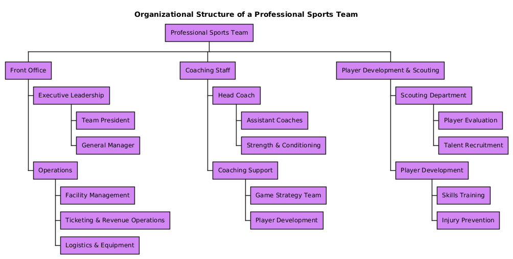 AI-generated organization chart of a professional sports team, illustrating front office, coaching staff, and operations with clear hierarchical structure and functional breakdown.