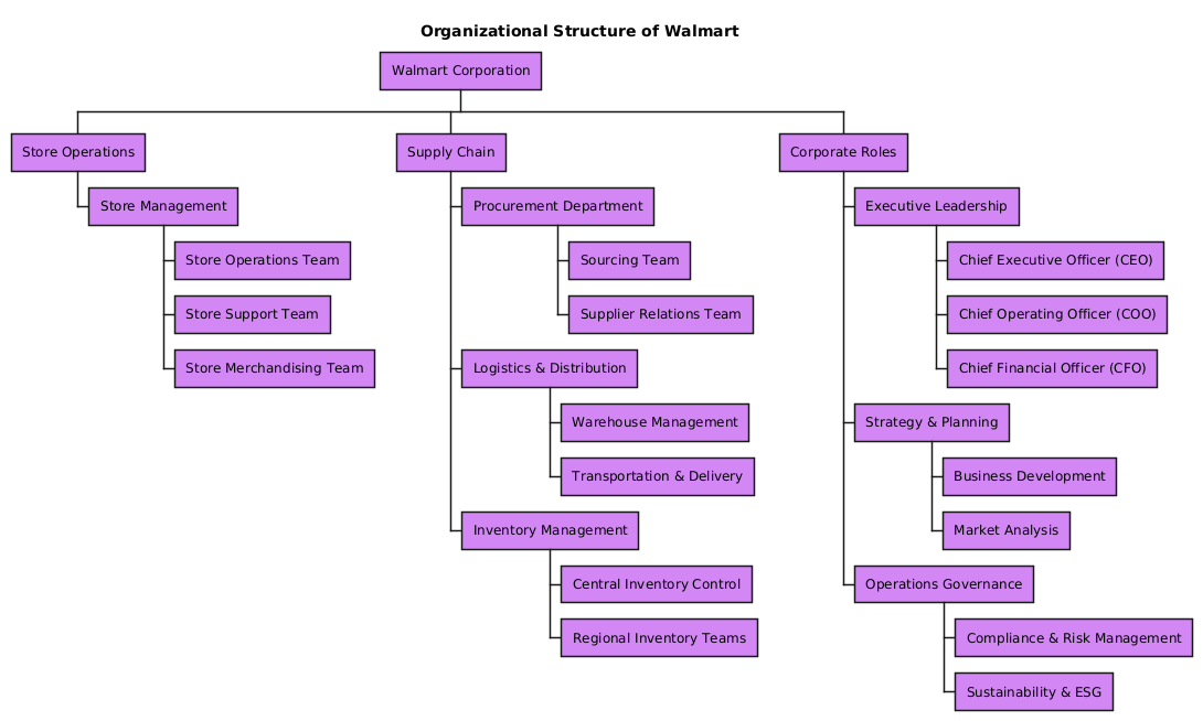 Visual representation of Walmart's organizational structure, showing store operations, supply chain, and corporate roles with hierarchical relationships.