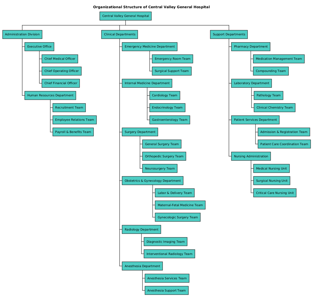 Visual representation of the Central Valley General Hospital organizational structure, showing leadership, clinical departments, and support units in a hierarchical WBS format.