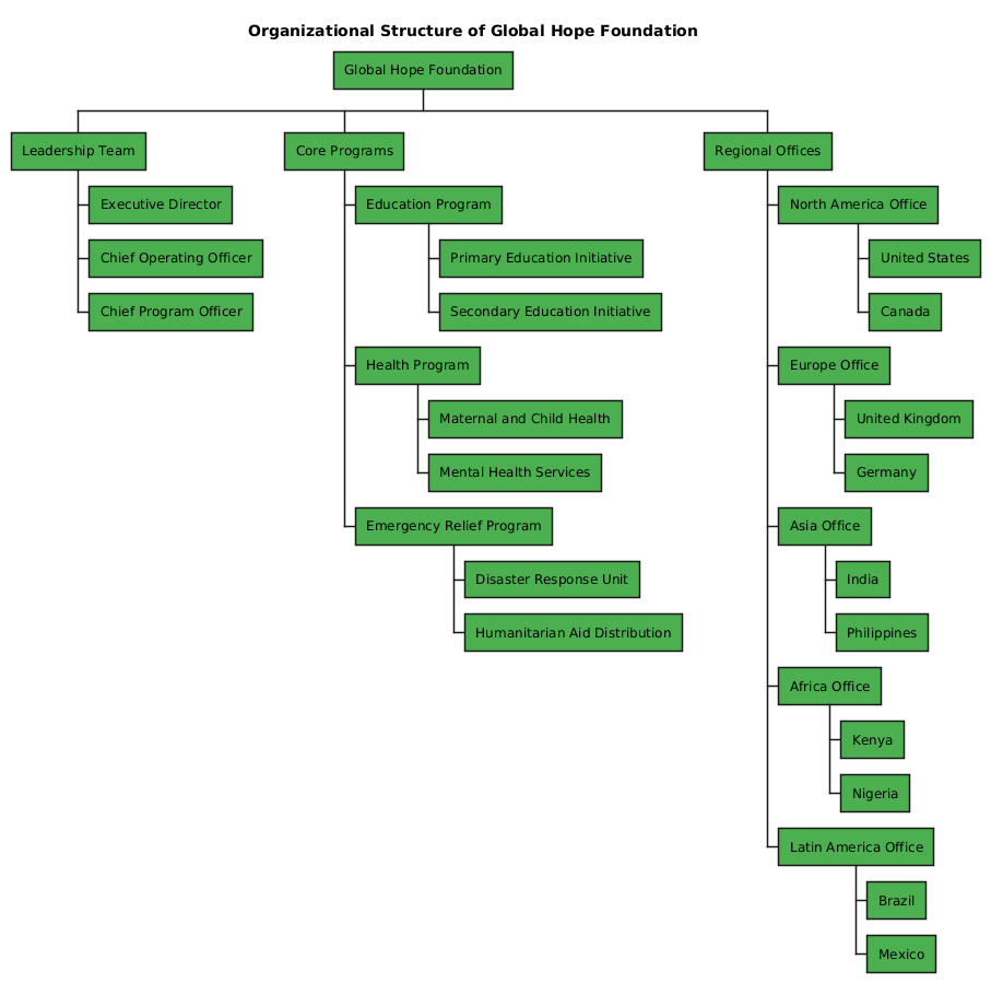 Visual representation of the Global Hope Foundation's organizational structure, showing leadership, core programs, and regional offices across five continents.