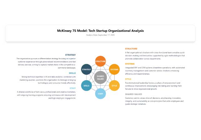 McKinsey 7S Model