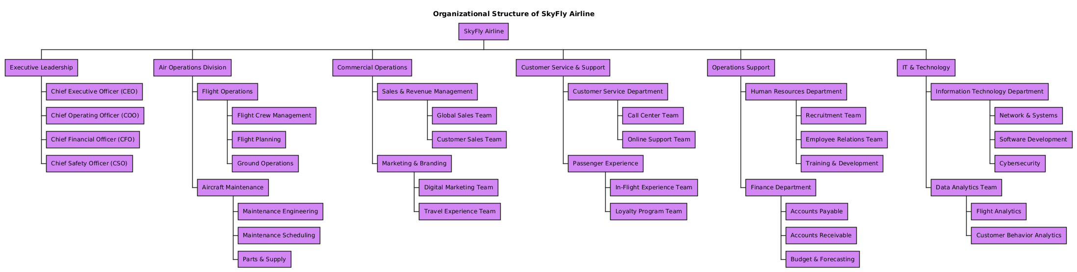 Visual representation of SkyFly Airline’s organizational structure, showing executive leadership, operational divisions, and support departments in a hierarchical WBS format.